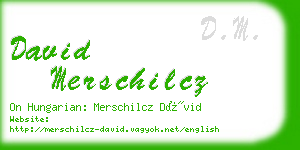 david merschilcz business card